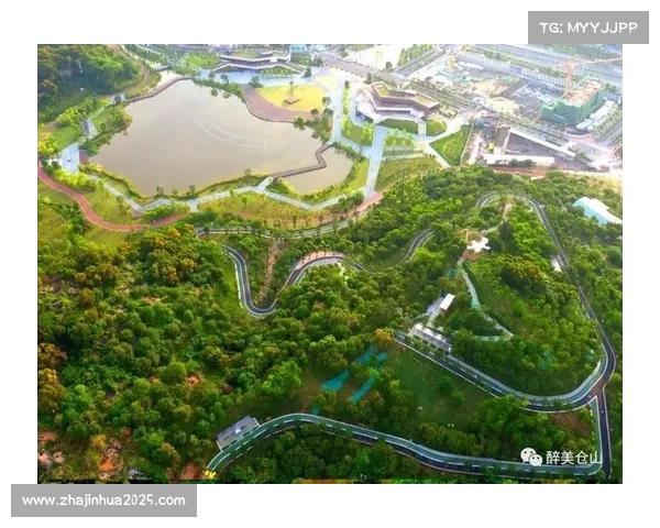 重点体育项目示范效应显现,带动整体水平提升